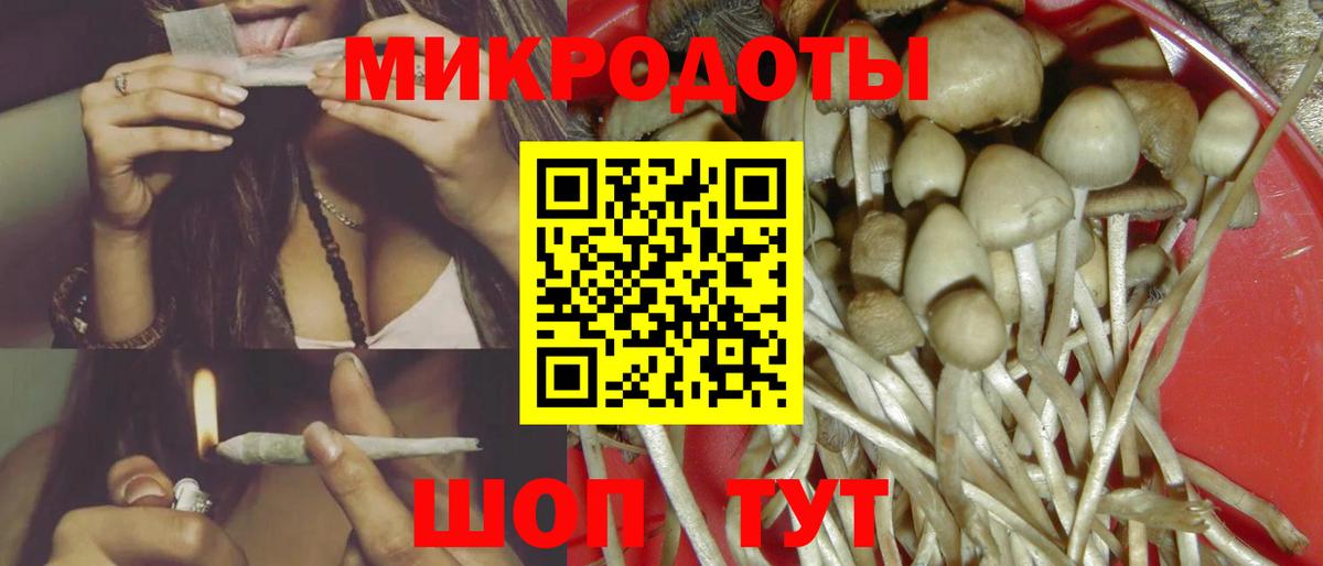 Псилоцибиновые грибы Psilocybine cubensis Урус-Мартан